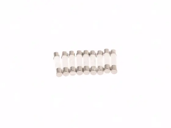 pojistka mikrovlnné trouby 10 A (6,3 x 32 mm)